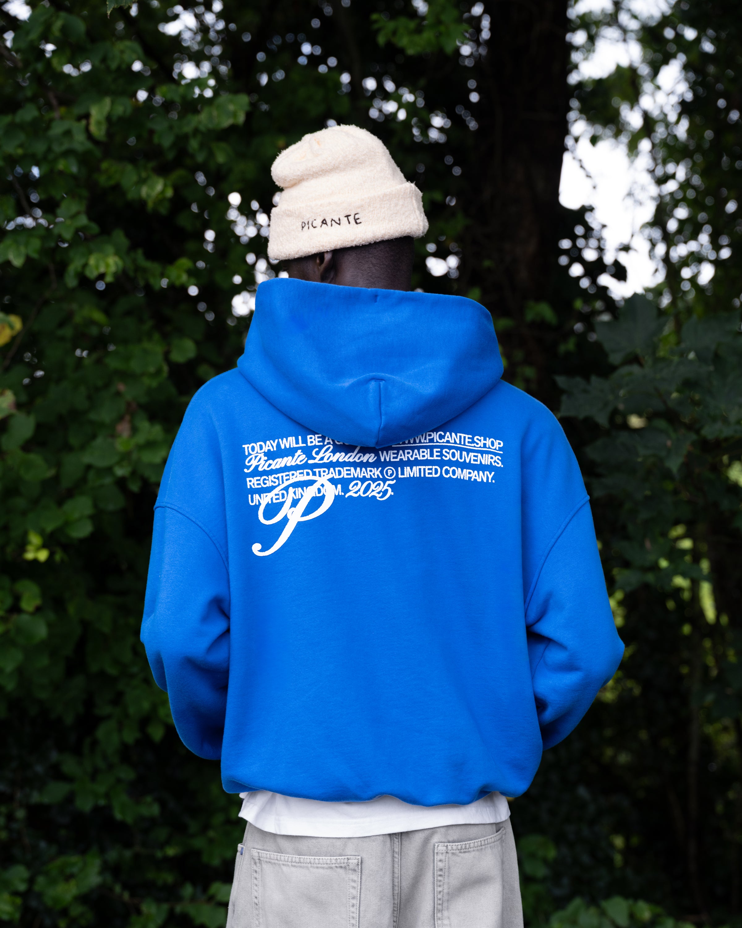 Gallery Hoodie