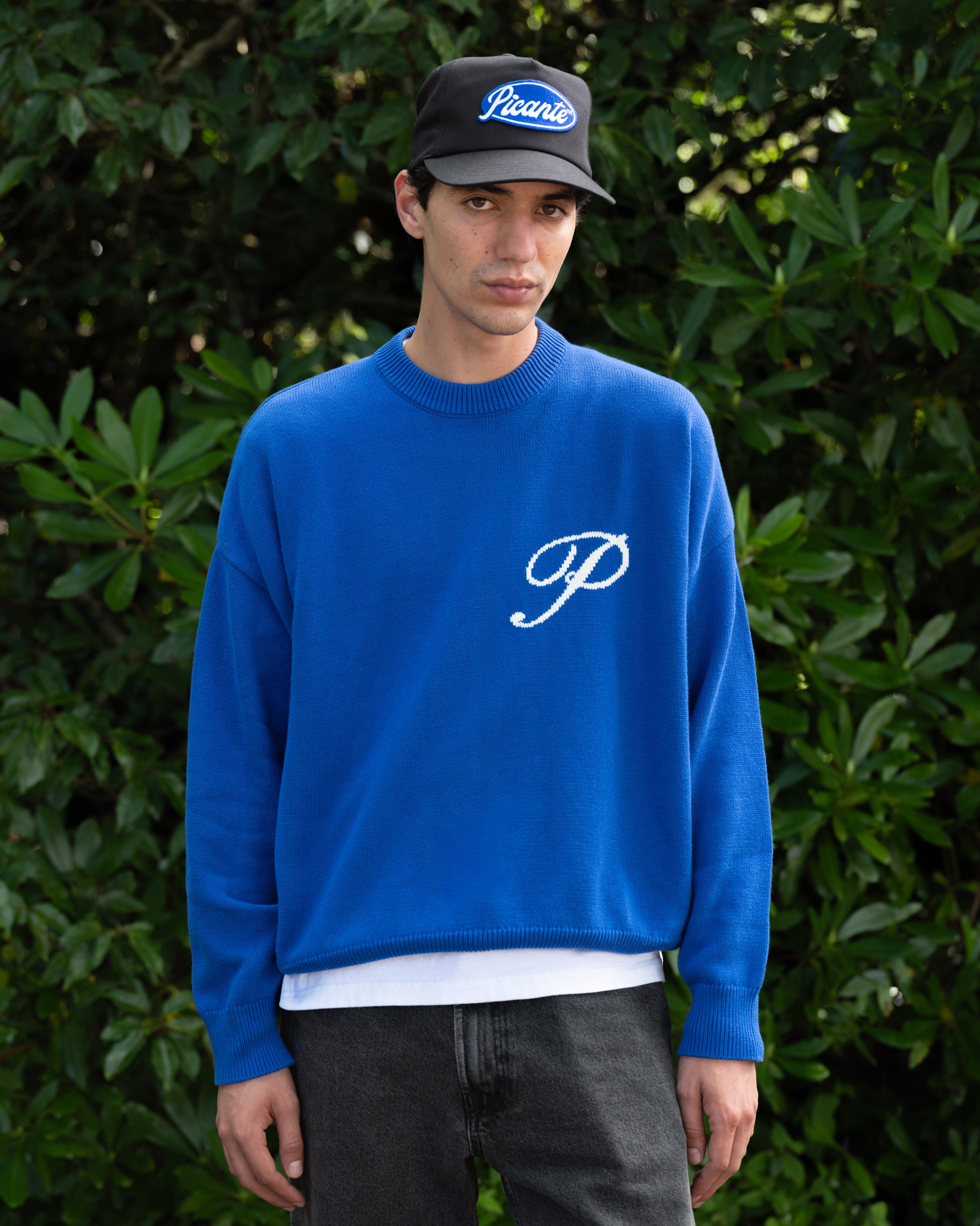 Gallery Knit Sweater