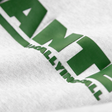 Load image into Gallery viewer, RALLY CALL HOODIE GREY MARL