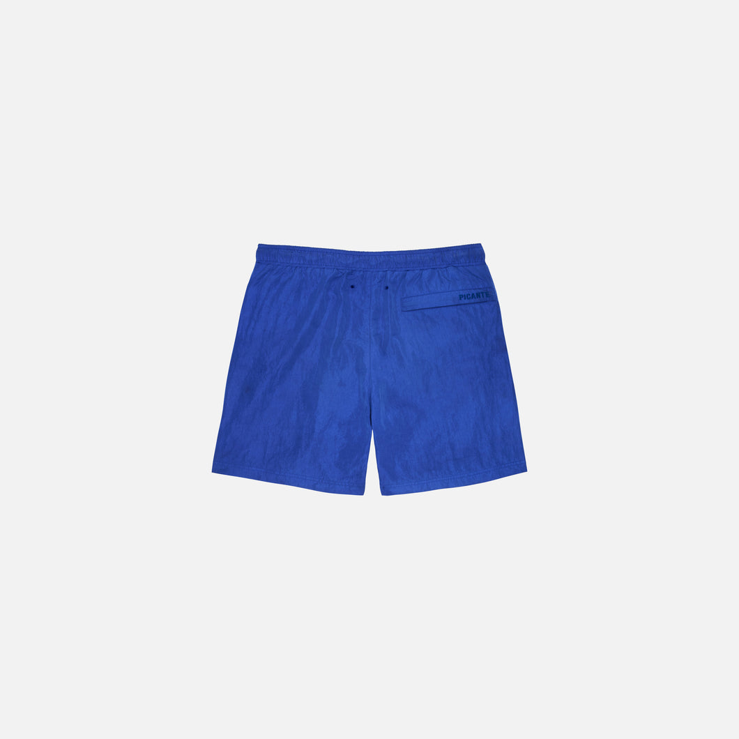 SHIMMER SWIM SHORTS