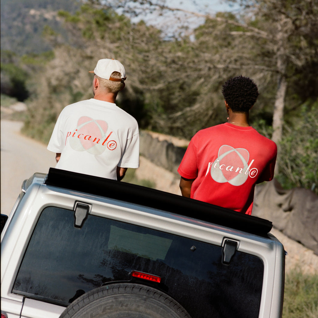 PASSION T-SHIRT