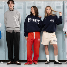 Load image into Gallery viewer, TEAM FRATELLI SWEATPANTS SUN-FADED RED