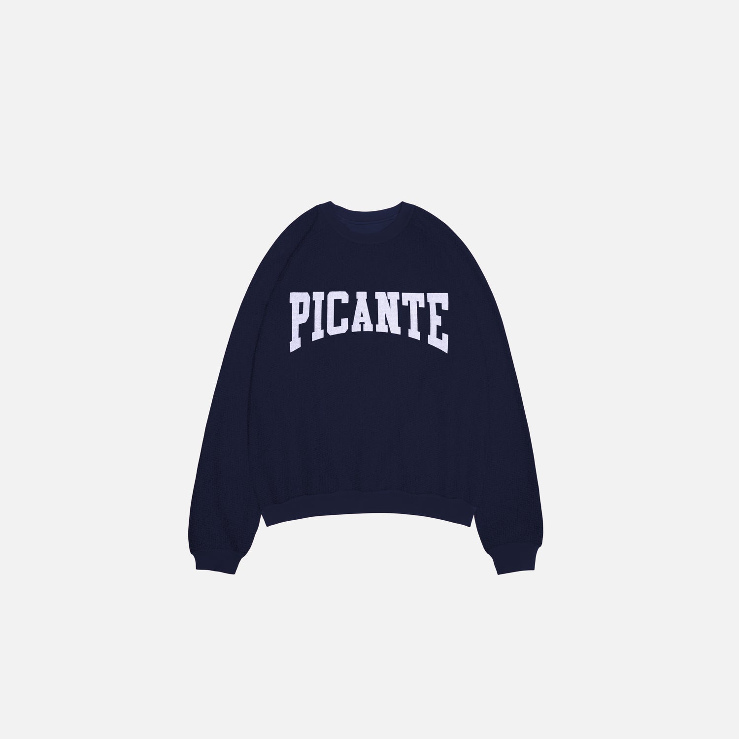 FRATELLI / ARCH REVERSIBLE RAGLAN SWEATSHIRT NAVY
