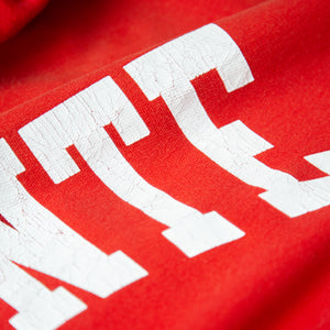 ARCH HOODIE SUN-FADED RED