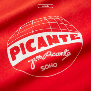 FRATELLI / ARCH REVERSIBLE RAGLAN SWEATSHIRT SUN-FADED RED