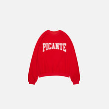 Load image into Gallery viewer, FRATELLI / ARCH REVERSIBLE RAGLAN SWEATSHIRT SUN-FADED RED
