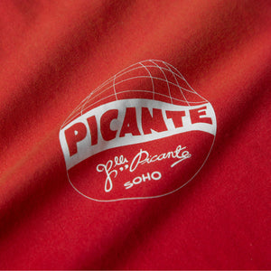 TEAM FRATELLI T-SHIRT SUN-FADED RED