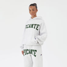 Load image into Gallery viewer, ARCH HOODIE GREY MARL