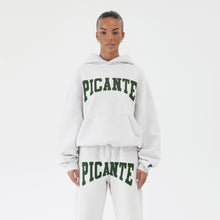 Load image into Gallery viewer, ARCH HOODIE GREY MARL