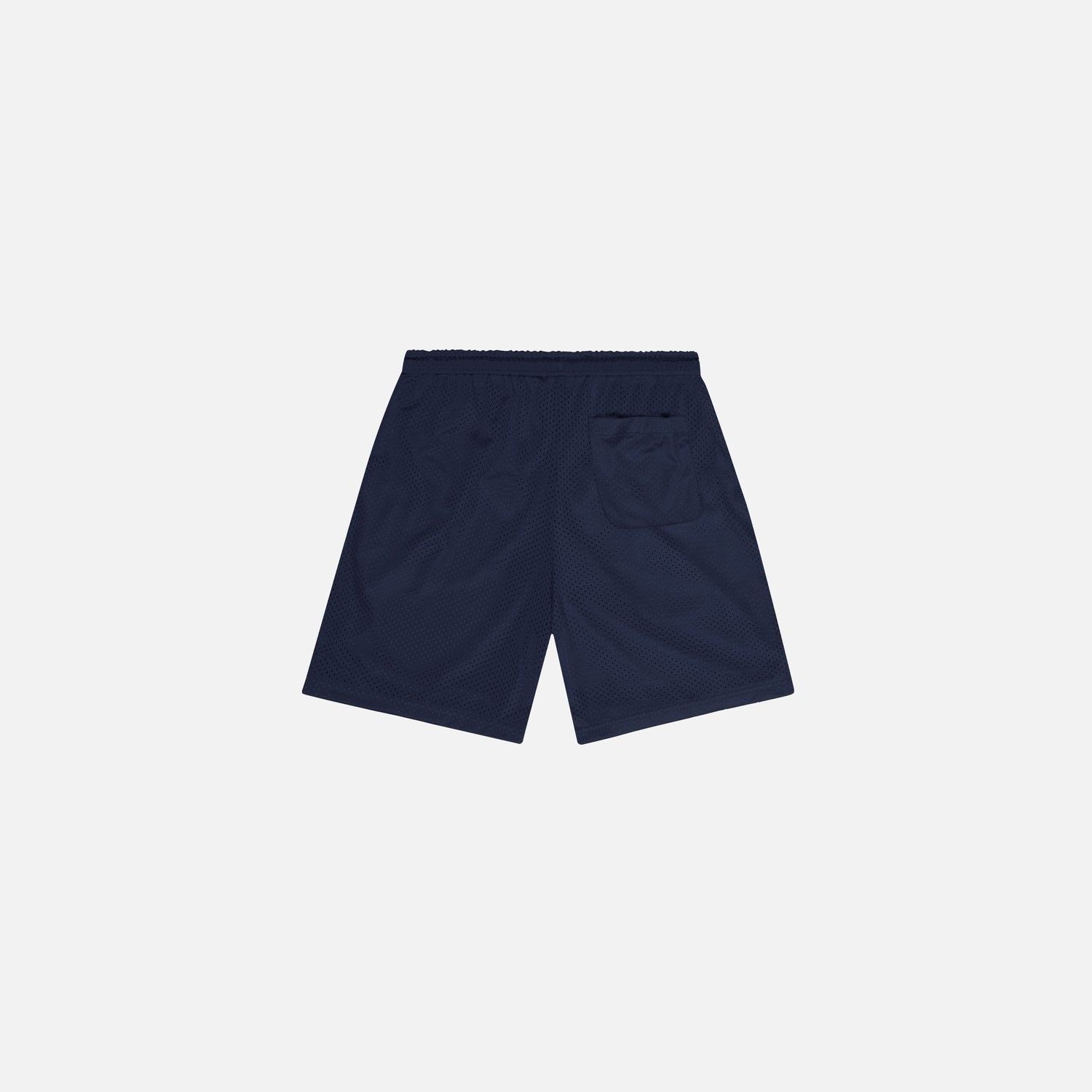 EVERYDAY MESH SHORTS NAVY